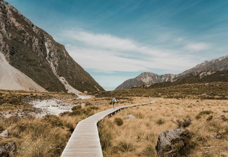 Travel and tourism executive search by Infinitas Talent