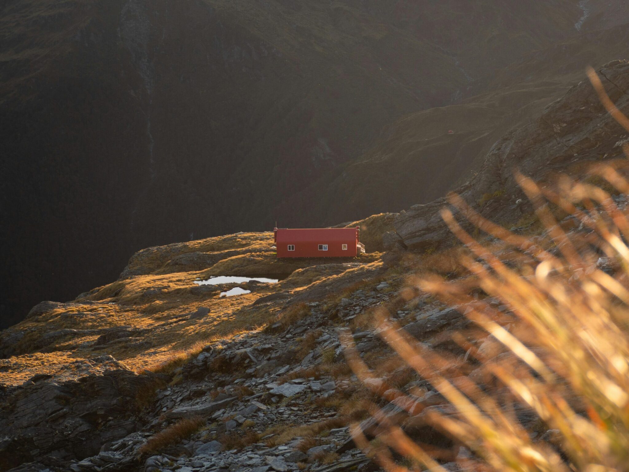 Red alpine hut on a tussock ridge at golden hour, New Zealand