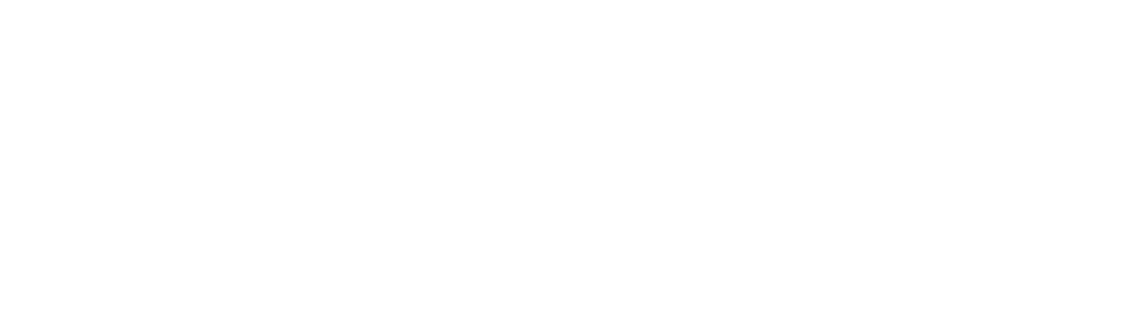 IIC Partners Executive Search Worldwide
